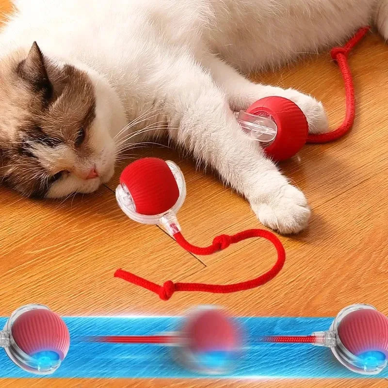 🐾 Smart Cat Toy – Pelota Automática con Cola Falsa Recargable 🎉