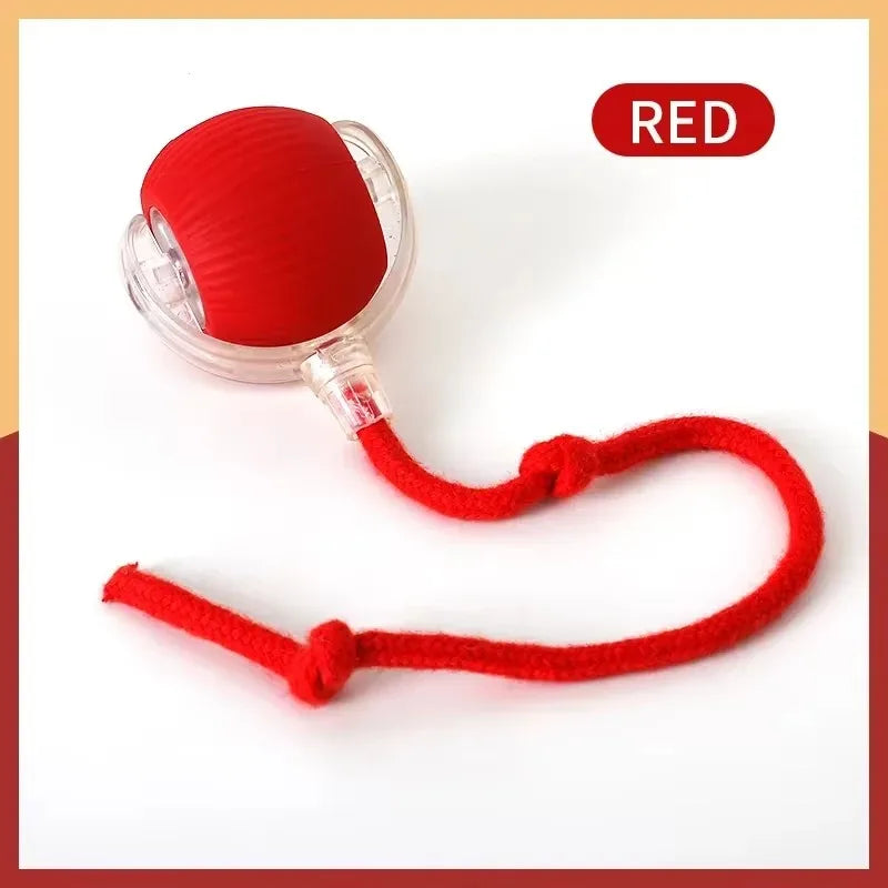 🐾 Smart Cat Toy – Pelota Automática con Cola Falsa Recargable 🎉