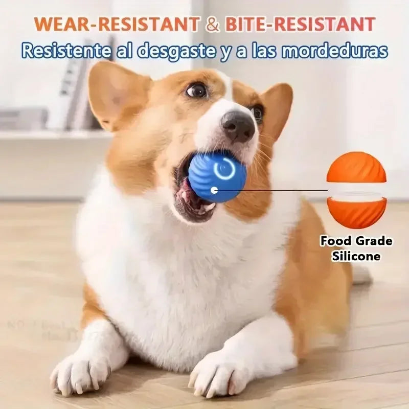 🐾 Pelota Inteligente Automática para Perros – Recargable USB