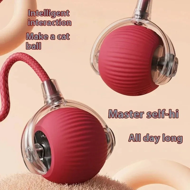 🐾 Smart Cat Toy – Pelota Automática con Cola Falsa Recargable 🎉