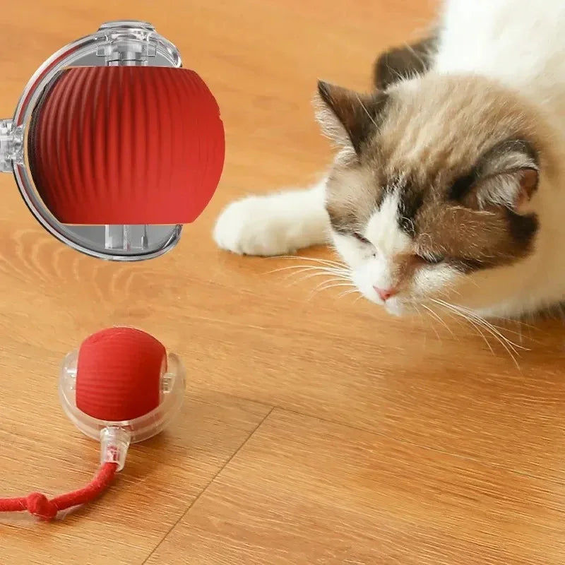🐾 Smart Cat Toy – Pelota Automática con Cola Falsa Recargable 🎉